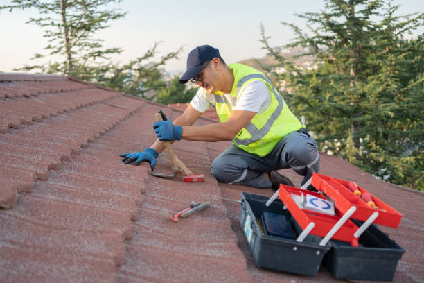 Best Green or Eco-Friendly Roofing Solutions  in Friona, TX